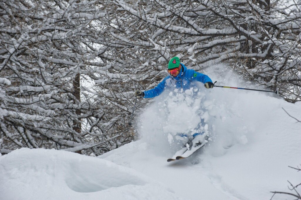 Sam Parkes powder skiing amongst the trees.