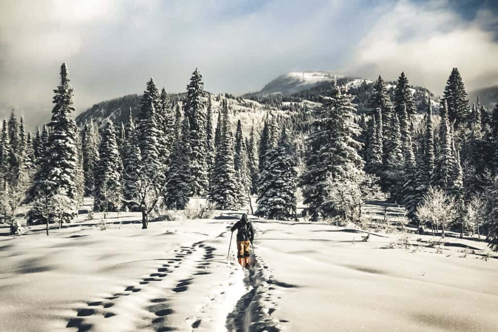 ski tourer in deep snow heading towards the trees. Vanlife, adventure sports and travel