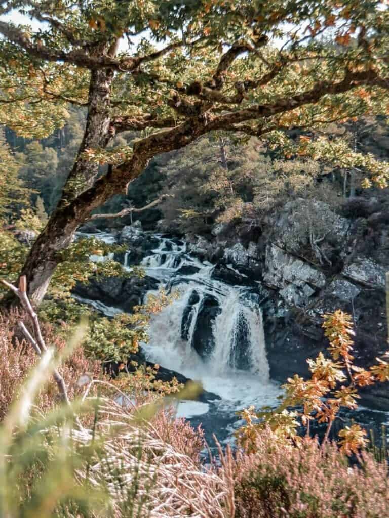 A golden morning view of Rogie Falls along the NC500