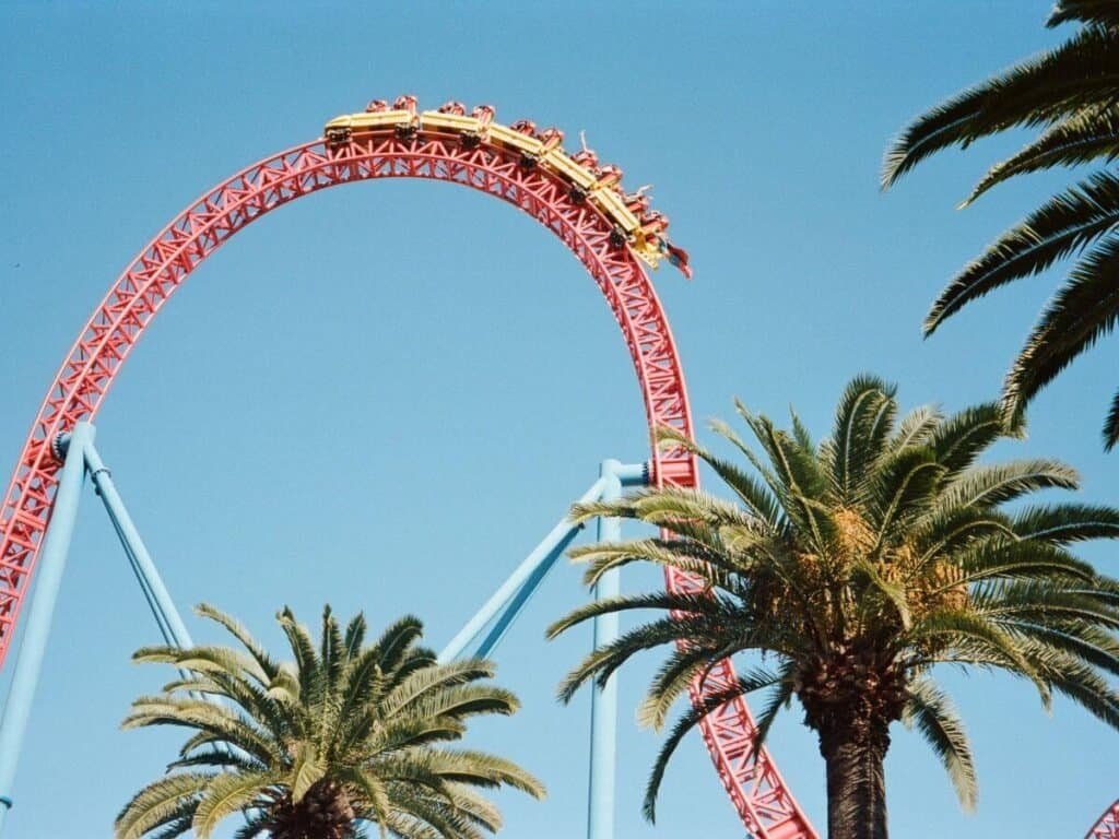 A roller coaster in movie world Australia climbing above the palm trees.