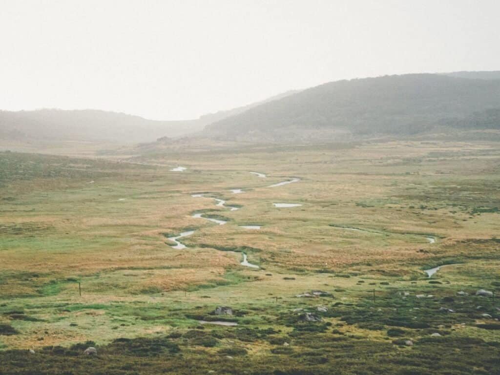 If you're wondering are there mountains in Australia, here's the hazy, grass covered path of Mount Kosciuszko.