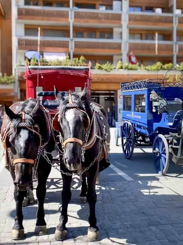Horses and a carriage in Zermatt town centre.